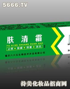 八六五護膚品 產品、加盟店模式與信息科技融合的技術開發